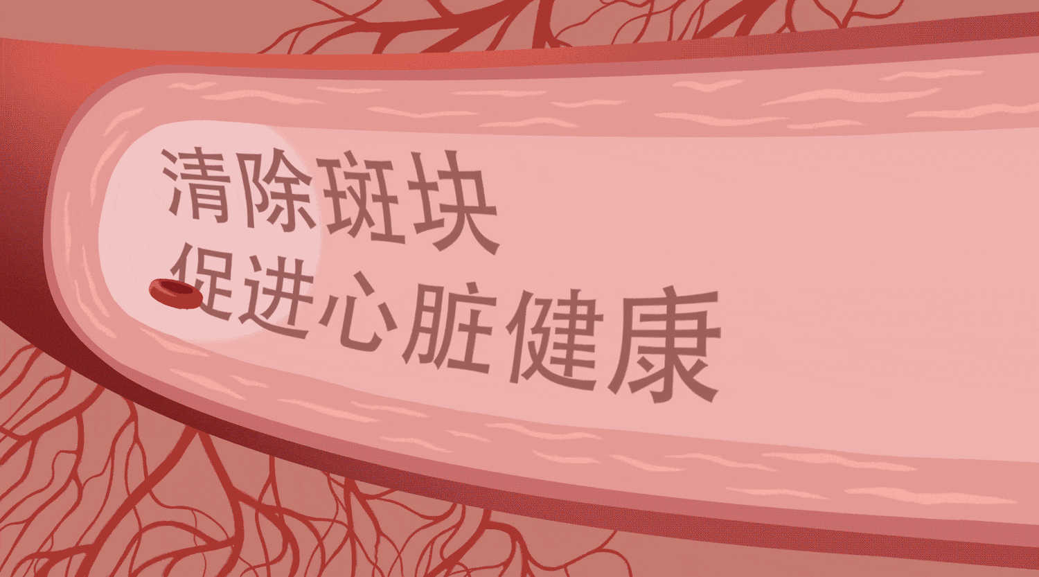 Learn about the useful properties of Tong Xin Luo Capsules and Kingpanax San Qi Pills in managing heart health, potential heart conditions like atherosclerosis, atherothrombosis.